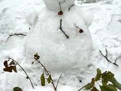 -武汉大学老图书馆