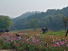 -黄陂区野村谷景区