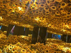 -梵高星空艺术馆(北京旗舰店)