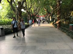 -杭州黄龙洞
