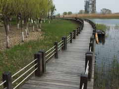 -太湖湖滨国家湿地公园-停车场