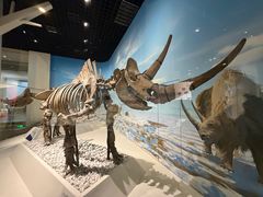 -国家自然博物馆