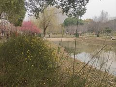 -堤角公园