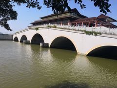 -大湾区中央湿地公园