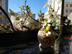 -彩葉·樱花屋日本料理(动物园店)