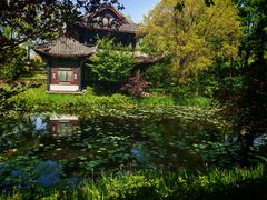 -桂湖森林公园