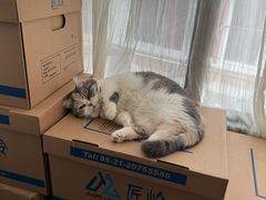 -申普宠物医院·眼科·心内科·影像科(普陀分院)