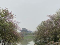 -海珠湖公园