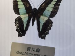 -中国湿地博物馆