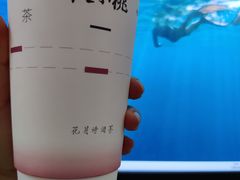 -伏小桃(萧山银隆店)