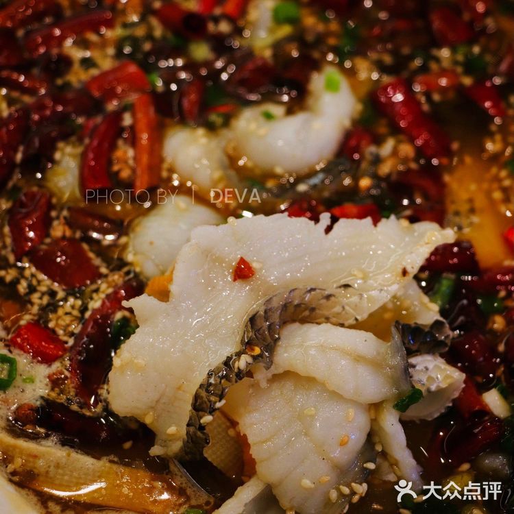 深圳新店｜地道国民西北菜来深圳啦😯