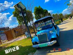 -南通鲜花小镇