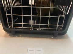 -御宝贝·A梦猫科宠物医院(国际猫友好医院)