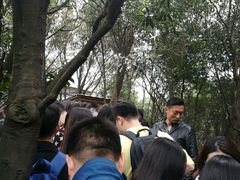 -梦幻奥陶纪景区