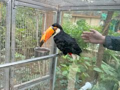 -南宫五洲植物乐园