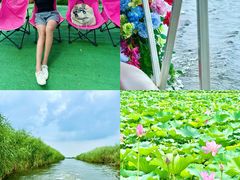 -白洋淀景区