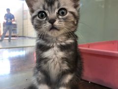 -乐宠宠物店(世纪金源店)