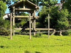 -上海野生动物园