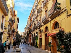 -瓦伦西亚大教堂