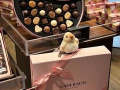 -Laderach 莱德拉(上海环贸iapm店)