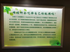 -上海昆虫博物馆