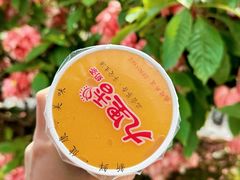 -九里香奶茶果汁(碧湖店)