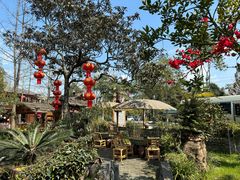 -青城甲(青城山店)