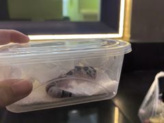 -酷以爬仙阁实体爬宠店·守宫·蜥蜴·专业繁育