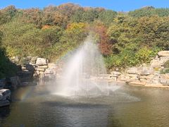 -北京西山国家森林公园