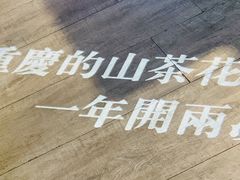 -锅说大脸毛肚重庆老火锅(佐阾店)