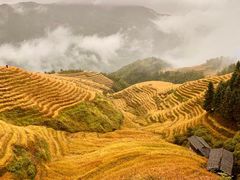 -龙脊梯田