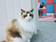 -零纪元VR体验馆·桌游(黄浦店)