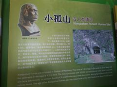 -辽宁古生物博物馆