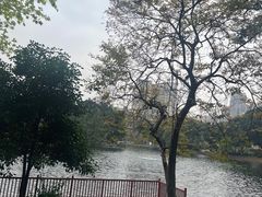 -荔湾湖公园