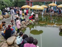 -南昌之星游乐场