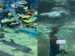 -福州罗源湾海洋世界旅游区