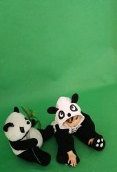 点击看大图 -倾城宝贝儿童摄影(广州天河店)