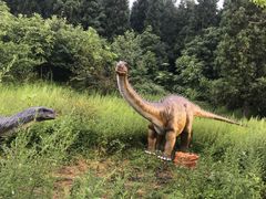 -武陵山森林公园