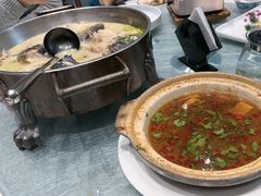 -丁老爷子苏香圆