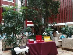 -成都世外桃源酒店-宴会厅·草坪婚礼·会议活动