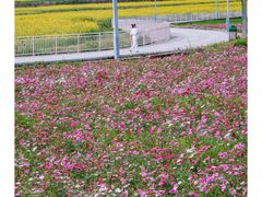 -光明小镇欢乐田园