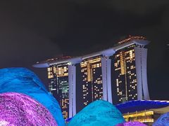 -武吉知马自然保护区