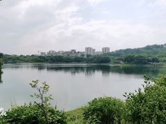 -广东花都湖国家湿地公园