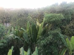 -西双版纳融创皇冠假日度假酒店