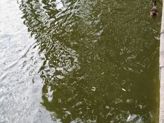 -团结湖公园