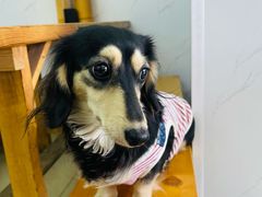-谈灵农家柴爿菜饭