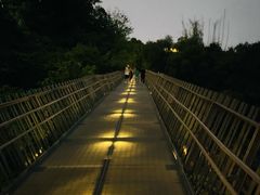 -福道