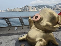 -星光大道