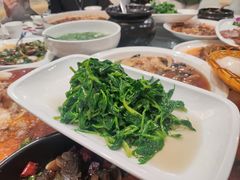 -陈麻婆豆腐(旗舰店)