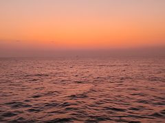 -海安新港(公交站)